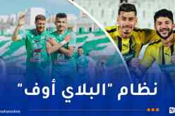 صعود 3 أندية إلى البطولة المحترفة بداية من الموسم القادم