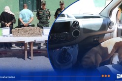 سعيدة.. توقيف امرأة ورجل وحجز أزيد من 30 كلغ من الكيف