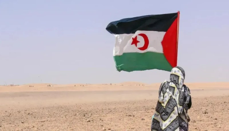 وزير خارجية بلجيكا يُؤكد إلتزام بلاده بالقانون الدولي بشأن الصحراء الغربية