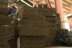 توقيف 4 أشخاص وحجز أزيد من 5 قناطير قنب هندي في سيدي بلعباس