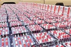 المغير.. الدرك يحجز 30 ألف قرص مهلوس بـ أم الطيور