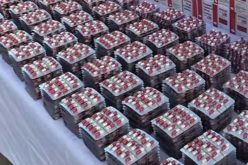 الوادي.. إحباط محاولة تهريب أزيد من 29 ألف قرص مهلوس