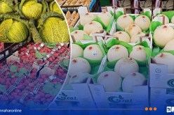 منتجون جزائريون يزورون سوق الجملة للخضر والفواكه بريميني الإيطالية