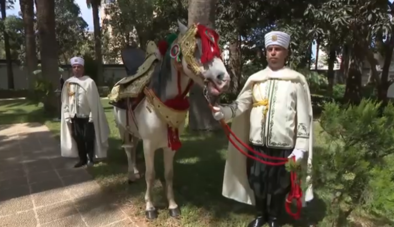 رئيس الجمهورية يُهدي سلطان عمان حصانا بربريا أصيلا