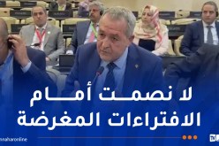 خلال مؤتمر منظمة التعاون الإسلامي..رد قوي من الجزائر على تهجم ممثل الطغمة الانقلابية في مالي