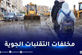 تقلبات جوية.. إرتفاع منسوب المياه وسقوط أشجار بسبب الرياح