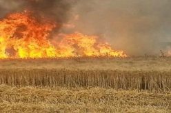 عين الدفلى.. إخماد حريق بمحصول زراعي في جليدة