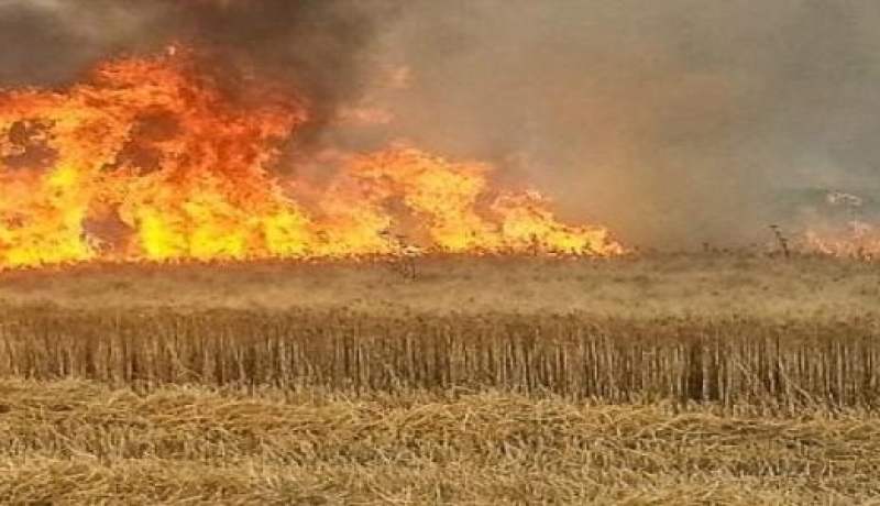 عين الدفلى.. إخماد حريق بمحصول زراعي في جليدة