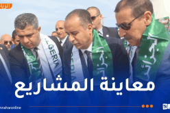 الوزير صادي يشرف على إطلاق مشاريع رياضية وتدشين مرافق جديدة بجيجل