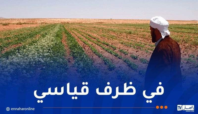 تطبيق رقمي لحل مشاكل العقار الفلاحي