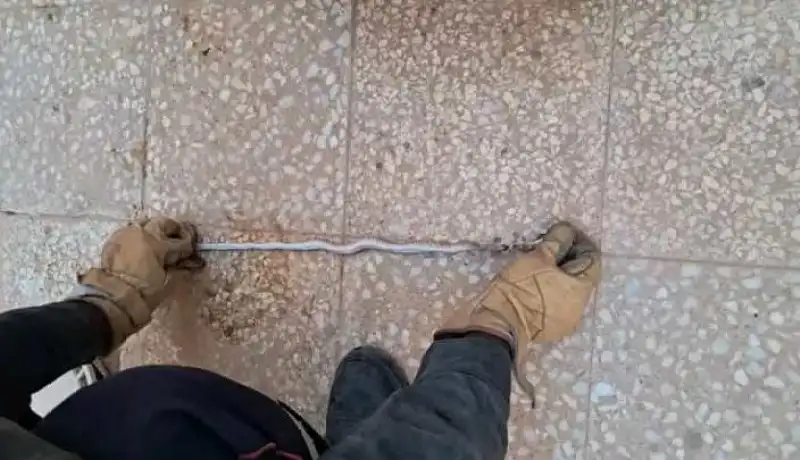 المغير.. إخراج ثعبان من داخل مكيف هوائي بغرفة نوم