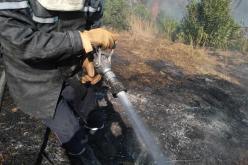 إندلاع حريق محصول زراعي في البويرة