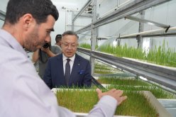 تدشين مشروعين نموذجيين بمجالي الطاقة المتجددة والزراعة المستدامة
