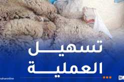 بالتفاصيل ..هذه  مواقع و نقاط جمع جلود أضاحي العيد