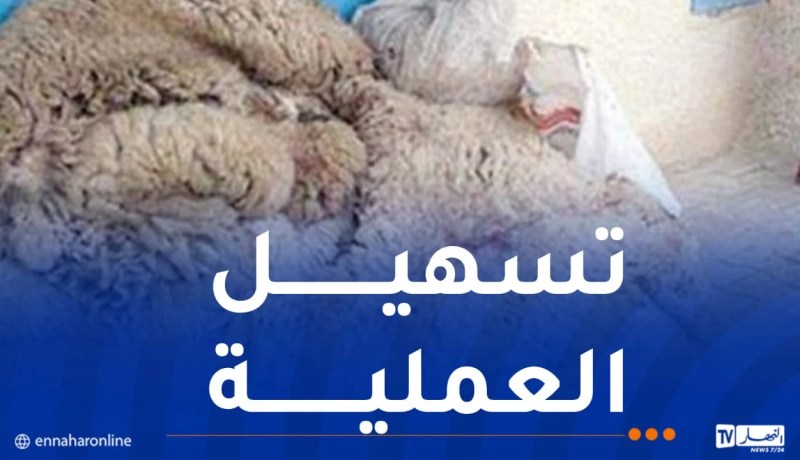 بالتفاصيل ..هذه مواقع و نقاط جمع جلود أضاحي العيد