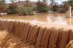 إيليزي.. إنقاذ 7 أشخاص كانوا محصورين داخل سيارة بسبب التقلبات الجوية 