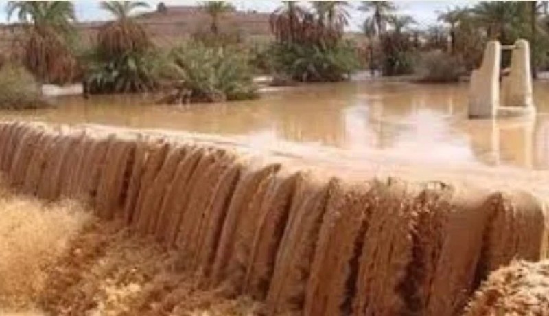 إيليزي.. إنقاذ 7 أشخاص كانوا محصورين داخل سيارة بسبب التقلبات الجوية