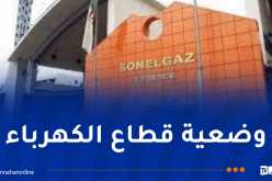 تنفيذا لتوجيهات الرئيس تبون.. إيفاد فريق من سونلغاز إلى سوريا