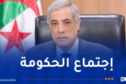 الوزير الأول يترأس اجتماعا للحكومة