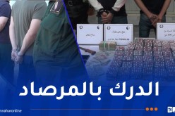 بومرداس.. توقيف 15 شخصا وحجز أزيد من 17 ألف قرص مهلوس