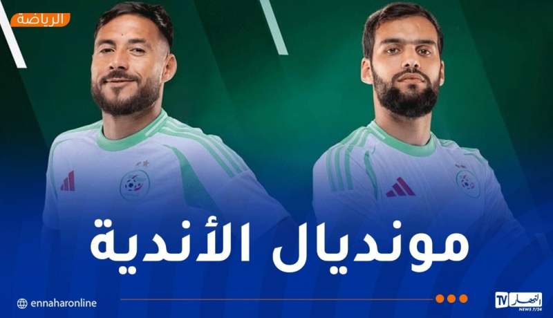 بيتكوفيتش يُسرّح بلايلي وتوقاي