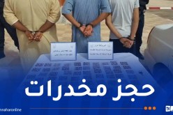 أدرار.. توقيف 3 أشخاص وحجز 750 قرصاً مهلوساً