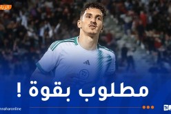 أوروبا أم قطر؟ عادل بولينة أمام مفترق طرق في مسيرته