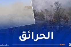 إندلاع حريق غابة في سطيف