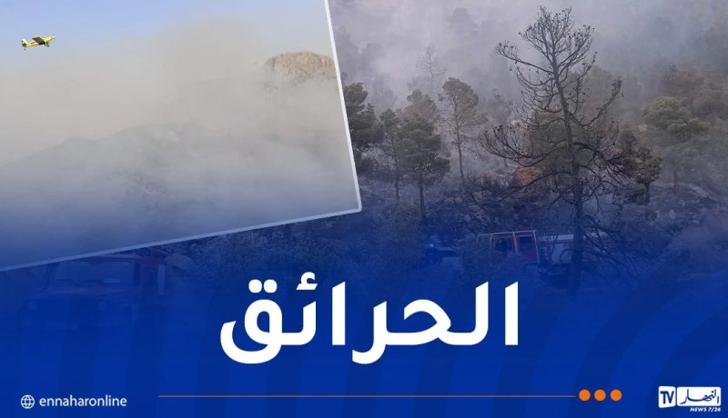 إندلاع حريق غابة في سطيف
