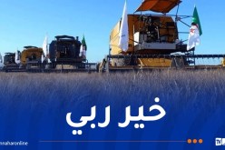 إنتاج أزيد من 200 ألف قنطار من الحبوب بورقلة