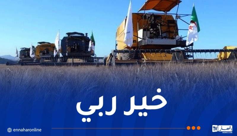 إنتاج أزيد من 200 ألف قنطار من الحبوب بورقلة