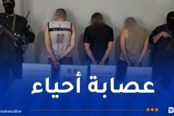 باتنة.. توقيف 3 أشخاص وحجز مخدرات وأسلحة