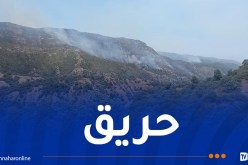 حريق الحظيرة الوطنية للشريعة ينتشر لحدود المدية