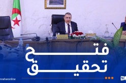 وزير الداخلية يُنصب لجنة التحقيق في حادث ملعب 5 جويلية