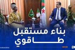 عرقاب يتباحث تعزيز التعاون الطاقوي مع مفوضة الطاقة والبنية التحتية بالإتحاد الإفريقي