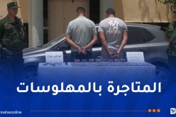 درك الأغواط يحجز 4116 قرص بريغابالين ويوقف شخصين