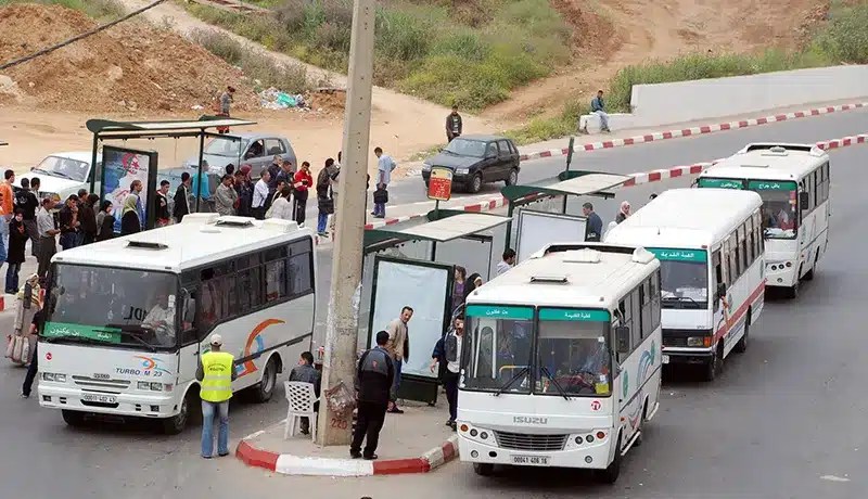السعيد سعيود: تجديد حظيرة النقل والسماح باستيراد حافلات أقل من خمس سنوات كحلّ مؤقت