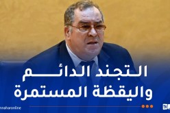 مزيان يُحذر من حملة السطو الممنهجة التي تقودها أطراف معينة للمساس بالجزائر