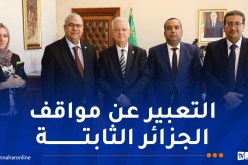 ناصري يجتمع مع الوفد المشارك في اجتماعات اللجان للبرلمان العربي