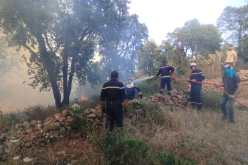 بجاية.. تسجيل نشوب 5 حرائق أتلفت هكتارا من الأحراش