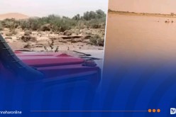 ايليزي.. انتشال جثة غريق في بركة مائية بتنمري