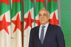 تحويل ملكية أسهم الطاسيلي لصالح الخطوط الجوية ..العرباوي يترأس اجتماعا لمجلس مساهمات الدولة