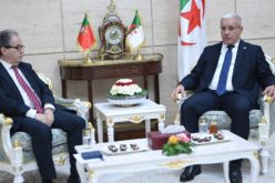 بوغالي يستقبل رئيس المحكمة الدستورية البرتغالية..وهذا ما دار بينهما