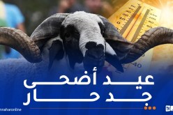 أيام عيد الأضحى.. حرارة استثنائية تجتاح هذه الولايات