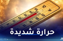 حرارة جد مرتفعة ورعود في هذه الولايات !