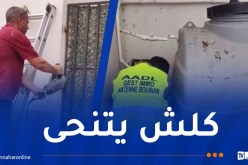 عدل.. حملة واسعة لإزالة تجاوزات المستأجرين العشوائية