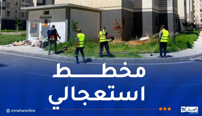عدل تستعد لعيد الأضحى