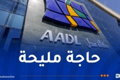 عدل: قرار هام للمواطنين