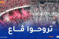 نهائي الكأس.. النقل مجانًا لجماهير شباب بلوزداد واتحاد العاصمة إلى ملعب نيلسون مانديلا