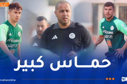 بالصور.. أجواء حماسية في تحضيرات المحليين لـ “شان” 2025